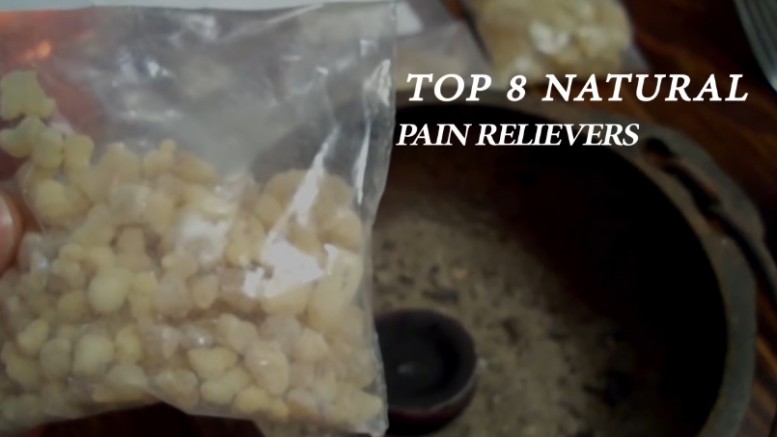 Top 8 Natural Pain Relievers (Video)