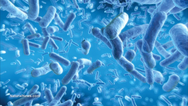 Bacteria-Blue