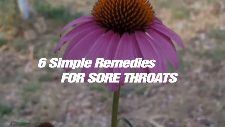 6 Simple Remedies for Sore Throats (Video)